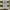 Anna Sui Luxury Casual Wanita White