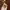 Anna Sui Luxury Casual Wanita white photo 6