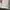 Anna Sui Luxury Casual Wanita white photo 4