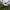 Made in USA Vintage Hat Pria white photo 1
