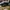 Asics Gorpcore Sportswear Sneakers Pria black photo 1