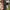 Asics Gorpcore Sportswear Sneakers Pria black photo 3