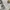 Adidas Streetwear Sportswear Jersey Pria white black photo 5