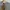 Merrell Casual Sweater Pria gray photo 2