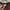 Columbia Casual Sweater Pria burgundy photo 2