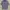 Converse Streetwear T-shirt Pria navy gray photo 1