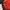 Track jacket Kids red gray photo 7