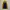 Blackyak Outerwear Kids yellow photo 3