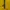 Blackyak Outerwear Kids yellow photo 4