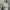 Avant Garde Coquette Crop top Wanita white photo 2