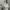 Avant Garde Coquette Crop Top Wanita White