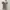 Avant Garde Coquette Bodycon dress Wanita multicolor photo 1