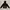 Under Armour Outerwear Kids black red photo 2
