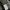 Montbell Streetwear Gorpcore Windbreaker Pria black gray photo 5