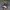 Nike Sportswear Sneakers Pria multicolor photo 1