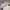 Vintage Sportswear Jersey Pria white photo 2