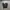 Helmut Lang Vintage Streetwear Pria black photo 1