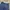 Avirex Streetwear Y2K Casual Pants Pria Multicolor