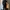The North Face Gorpcore Casual Track jacket Pria black photo 2
