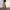 JW Anderson Y2K Minimalist Casual pants Pria khaki tan photo 1