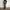 AMI Paris Vintage Y2K Casual trouser Wanita green photo 1