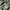 AMI Paris Vintage Y2K Casual trouser Wanita green photo 5