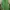 Supreme Streetwear Luxury T-shirt Pria green photo 1