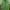 Supreme Streetwear Luxury T-shirt Pria Green