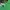 Supreme Streetwear Luxury T-shirt Pria green photo 5