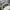 Nike Futurist Hoody Pria green white photo 2