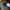 Nike Air Jordan Streetwear Sweatshirt Pria green photo 4