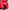 Streetwear Sportswear Hoody Pria black red photo 3