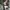 Japanese brand Y2K Avant Garde Cardigan Wanita black photo 6