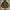 Casual Windbreaker Pria green photo 1