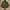 Casual Windbreaker Pria green photo 7
