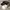 Stussy Sportswear Hat Pria black photo 1
