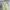 Carhartt Vintage Y2K Pria khaki photo 2