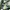 Minimalist Casual Bag Pria green gray photo 4