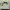 Minimalist Casual Bag Pria green gray photo 1