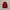 Timberland Outerwear Kids Navy Red