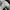 Nike Air Jordan Casual Sneakers Pria white gray photo 6