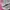 New Balance Streetwear Casual Sneakers Wanita white gray photo 2
