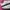 Adidas Streetwear Casual Sneakers Pria white gray photo 2