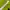 Phenix Outerwear Kids green photo 5