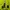 Phenix Outerwear Kids green photo 4