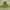 Phenix Outerwear Kids green photo 1
