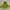 Phenix Outerwear Kids Green