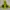 Phenix Outerwear Kids green photo 2