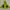 Phenix Outerwear Kids Green