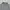 Casual Sweatshirt Pria gray photo 2